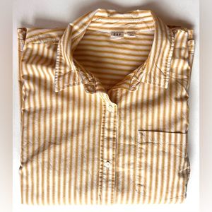 Button Down Striped Shirt